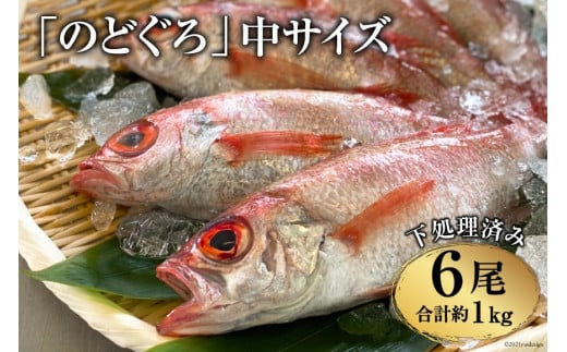 EF091「のどぐろ」中サイズ（160～180g） 6尾　＜煮付け・塩焼き用＞