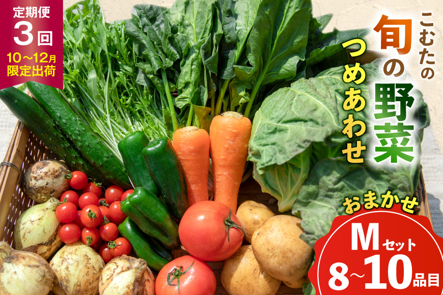 AJ433 【3回定期便】【10～12月限定出荷】こむたの旬の野菜 (8～10品目) おまかせMセット [ 野菜 やさい 旬 定期便 野菜セット 種類 人気 オススメ 新鮮 詰め合わせ 詰合せ こむた 小無田 青果 長崎県 島原市 ]