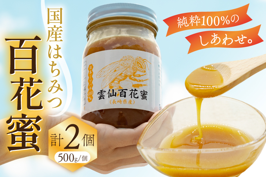 AJ446 はちみつ 国産 百花蜜 500g 2個 日本ミツバチ 純粋 100% [ 安中梅林を育てる会 蜂蜜 ハチミツ 非加熱 無添加 長崎県 島原市 ]