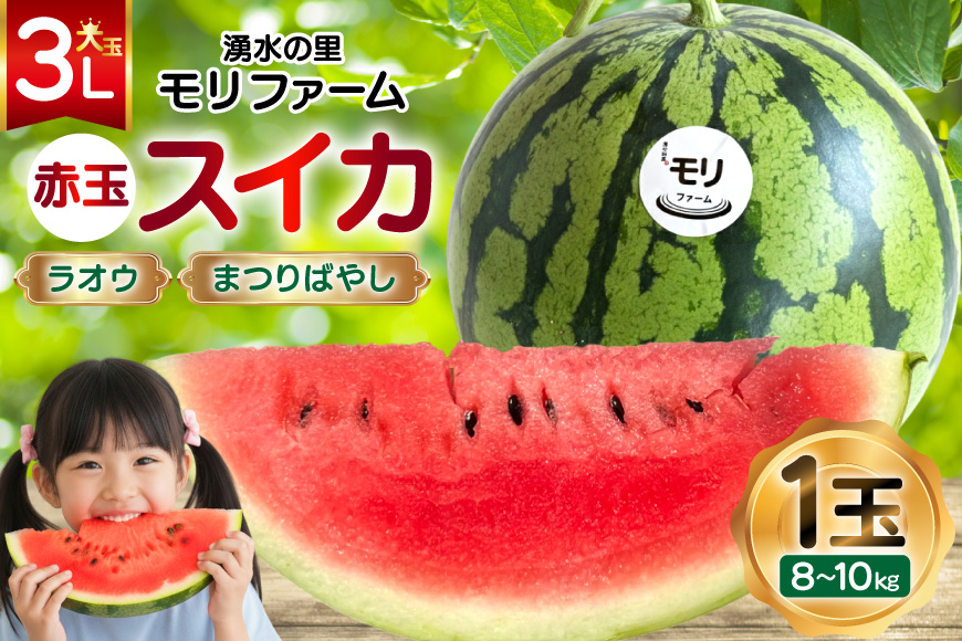 AJ455 【令和8年度出荷分】 湧水の里 モリファーム 赤玉 スイカ ラオウ まつりばやし 3L 8～10kg 1玉 [ 先行予約 数量限定 すいか スイカ 西瓜 フルーツ 果物 長崎 長崎県 島原市 ]