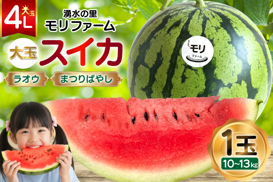 AJ456 【令和8年度出荷分】 湧水の里 モリファーム 大玉スイカ ラオウ まつりばやし 4L 10～13kg 1玉 [ 先行予約 数量限定 すいか スイカ 西瓜 フルーツ 果物 長崎 長崎県 島原市 ]
