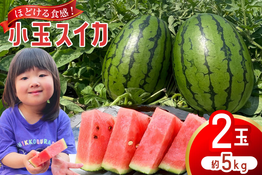 AJ461 【令和8年度出荷分】 Farm honda 小玉スイカ 2玉 計5kg [ 先行予約 数量限定 小玉 スイカ 西瓜 フルーツ 果物 長崎 長崎県 島原市 ]