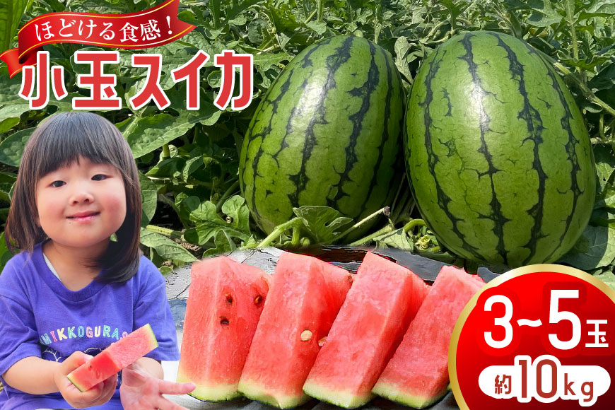 AJ462 【令和8年度出荷分】 Farm honda 小玉スイカ 3～5玉 約10kg [ 先行予約 数量限定 小玉 スイカ 西瓜 フルーツ 果物 長崎 長崎県 島原市 ]