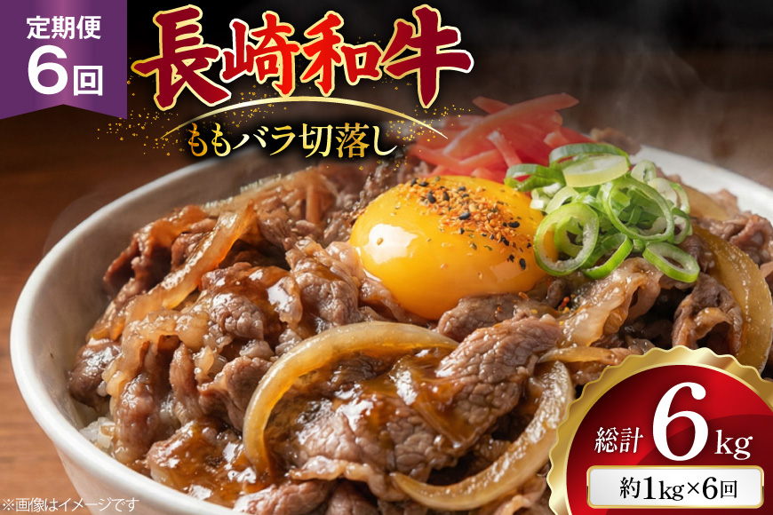 AJ578 【6回定期便】長崎和牛 切り落とし (もも・バラ) 約1kg (500g×2P) [ 肉 牛肉 和牛 高級 おいしい ステーキ肉 まるしん商会 黒牛 長崎県 島原市 ]