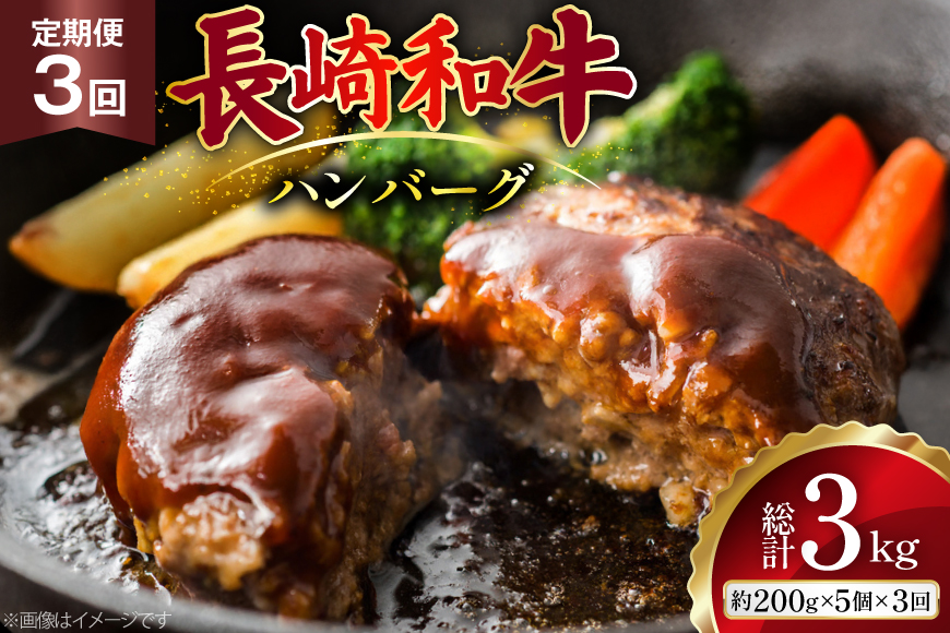 AJ586 【3回定期便】長崎和牛 ハンバーグ 約1kg (200g×5個) [ 肉 牛肉 和牛 おいしい ひき肉 焼くだけ おかず まるしん商会 黒牛 長崎県 島原市 ]