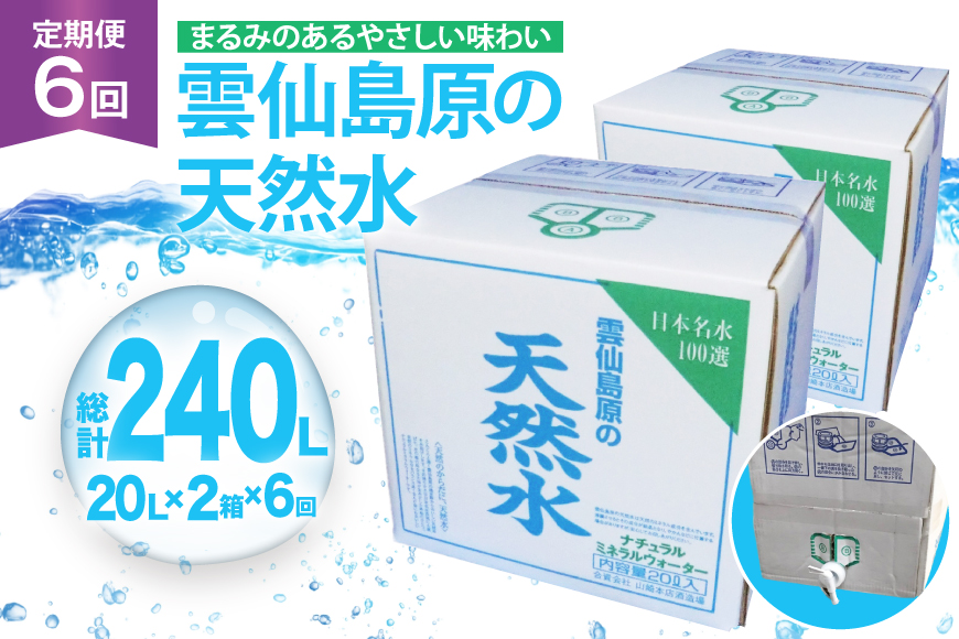 AJ627 山崎本店酒造場 【6回定期便】 雲仙島原の天然水 20L 2箱 [ 水 天然水 ウォーター おいしい 定期便 定期 名水百選 大容量 日用品 軟水 長崎県 島原市 ]
