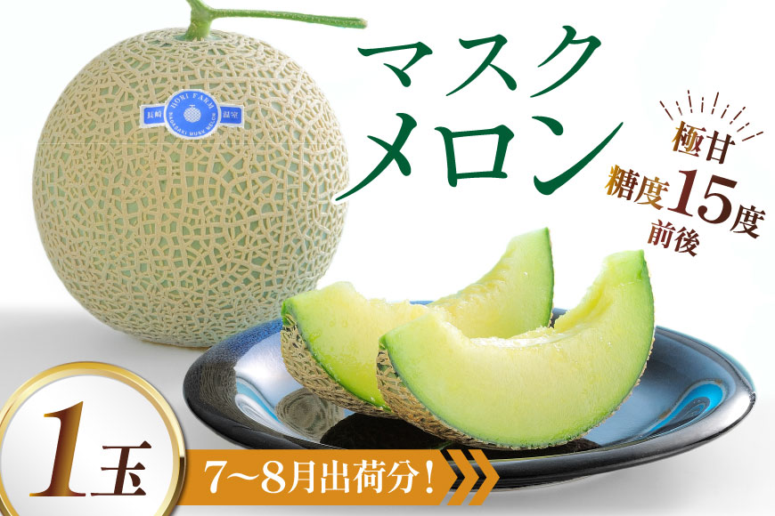 AJ650 【令和8年7-8月出荷分】 堀農園 マスクメロン 1玉 [ メロン めろん 青肉メロン 黄緑 果物 フルーツ おいしい 甘い 堀農園 長崎県 島原市 ]
