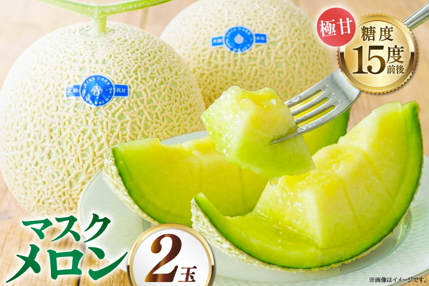 【期間限定発送】AA048 その道一筋の生産者がじっくり丁寧に育てた マスクメロン 2玉入