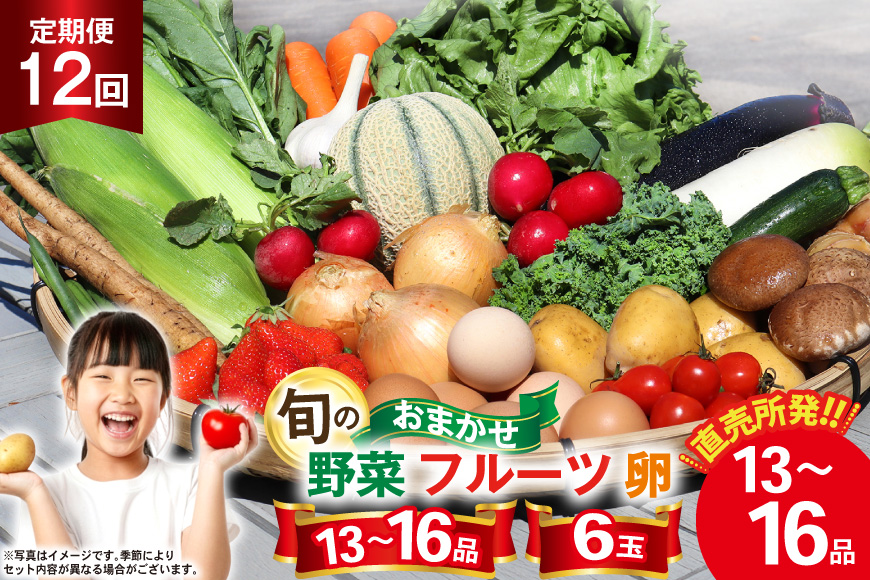 BD038 【12回定期便】 野菜・フルーツ・卵 旬のおまかせセット （野菜･フルーツ13～16種、卵6玉） [ 野菜セット 野菜 フルーツ 果物 たまご 鶏卵 産地直送 厳選 長崎県 島原市 送料無料]