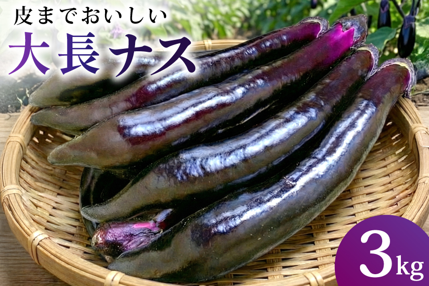 BF003【令和8年度出荷分】皮までおいしい！島原 大長ナス 3kg [ なす ナス 茄子 なすび 野菜 長ナス 天ぷら 焼き茄子 味噌汁 産地直送 長崎県 島原市 ]