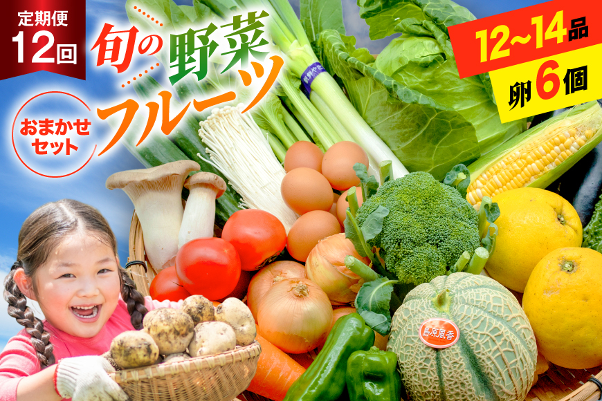 BF059 【12回定期便】旬の野菜・フルーツ (12〜14品目)・卵 (6個) おまかせ セット【 野菜 果物 卵 やさい くだもの 果物 タマゴ たまご 詰め合わせ 江戸屋 長崎県 島原市 】