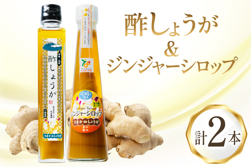 BI203 酢しょうが 230g ジンジャーシロップ 250g 計2本 480g [ 生姜 しょうが ショウガ ジンジャーエール シロップ セット 調味料 酢 松本農園 人作 長崎県 島原市 ]