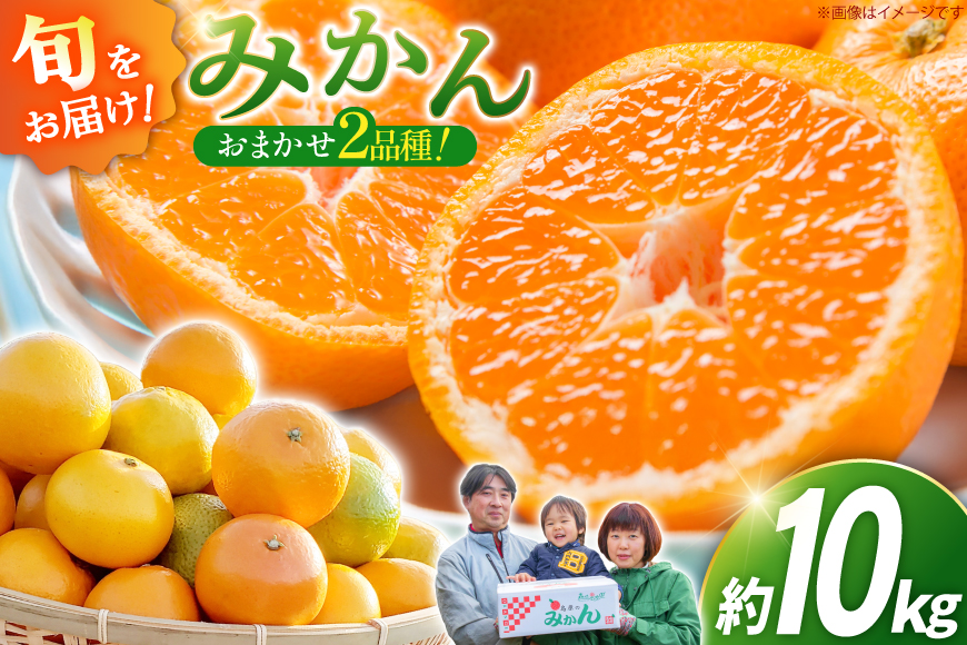CC003 森崎果樹園のこだわり旬のみかんセット 10kg [みかん ミカン 旬 10キロ 長崎県 島原市]