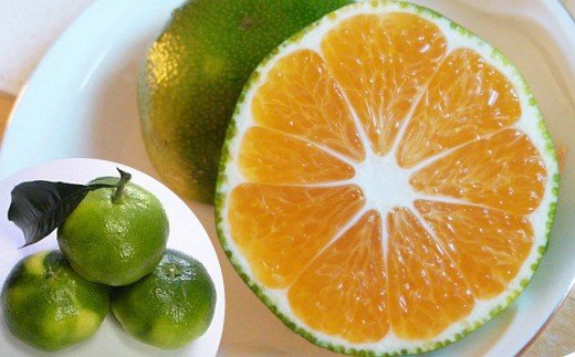 ※廃番※BD001 限定！森崎果樹園の露地もの青みかん（12kg）[みかん ミカン オレンジ 果物 くだもの フルーツ 酸味 露地もの 青もの 長崎県 島原市]