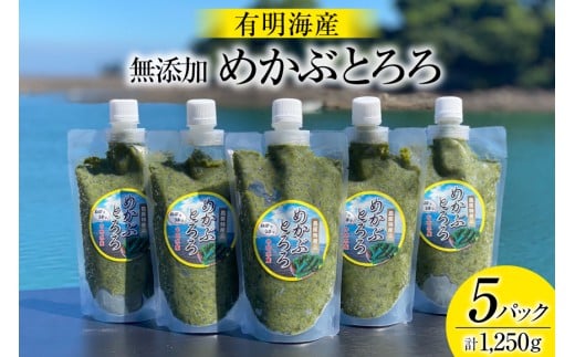 AE140 有明海産 無添加めかぶとろろ（250g×5パック）