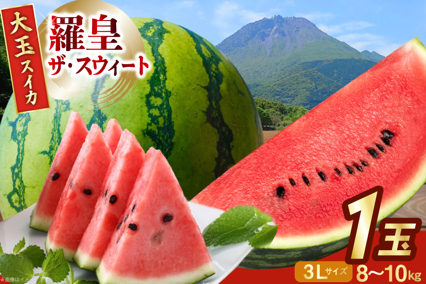 AJ643 【令和8年度出荷分】 島原スイカ倶楽部 大玉スイカ 羅皇ザ・スウィート 3Lサイズ 8～10kg [ 先行予約 数量限定 すいか スイカ 西瓜 フルーツ 果物 長崎 長崎県 島原市 ]