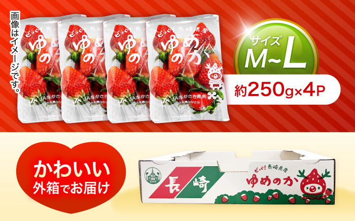 【1週間以内発送/限定数量】【家庭用に最適】長崎いちご「ゆめのか」M～Lサイズ 約250g×4パック 合計1000g /苺 イチゴ フルーツ デザート ジューシー 食卓 おやつ 1kg 4P /諫早市/長崎県央農業協同組合Aコープ本部 [AHAA034]