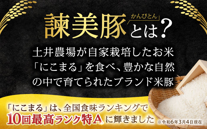 諫美豚とえごまそば(乾麺)のセット / 諫美豚 豚肉 しゃぶしゃぶ 蕎麦 そば ソバ  / 諫早市 / 株式会社土井農場  [AHAD051]