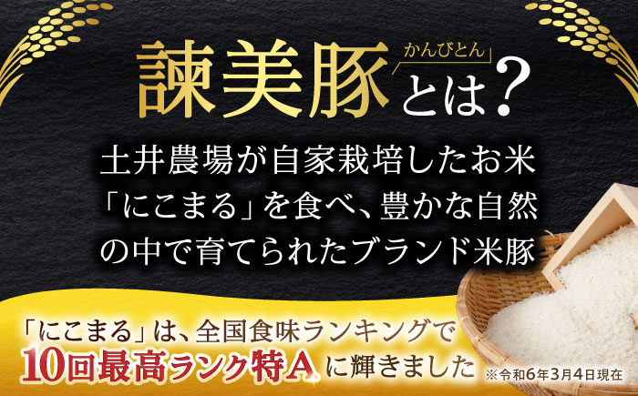 諫美豚ハンバーグ 10個（各150g）計1.5kg / 豚肉 ハンバーグ はんばーぐ おかず 惣菜 冷凍 / 諫早市 / 土井農場 [AHAD064]