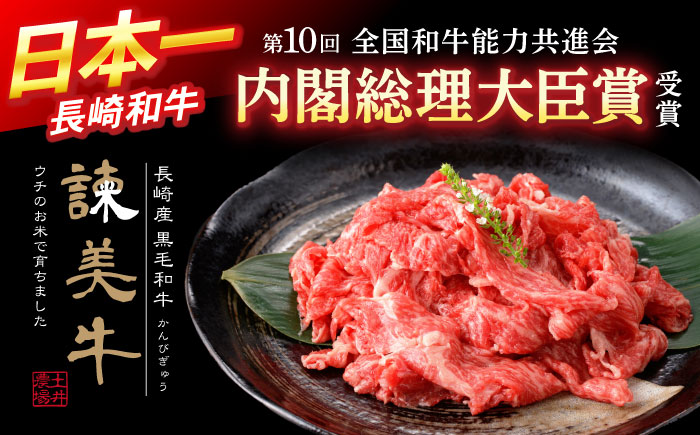 【特Aのブランド米で育てた】諫美牛 切り落とし 500g(250g×2) / 牛肉 ぎゅうにく 和牛 牛 肉 国産 切り落とし 切り落し 切りおとし / 諫早市 / 株式会社土井農場 [AHAD090]