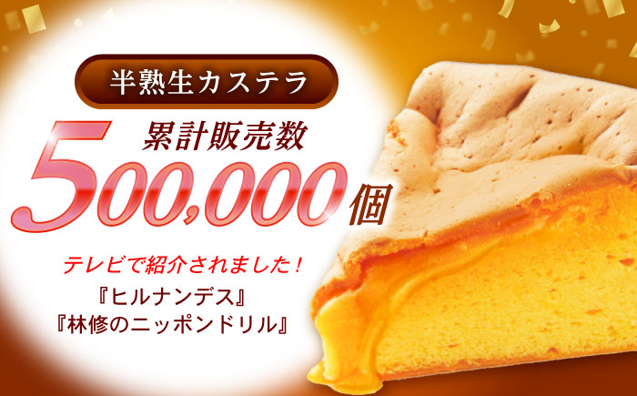 【年内配送】(12/23入金分まで)半熟生カステラ3個(プレーン・メープル・ショコラ)×3セット / カステラ かすてら 卵 人気 長崎 / 諫早市 / 株式会社菓秀苑森長 [AHAG008]