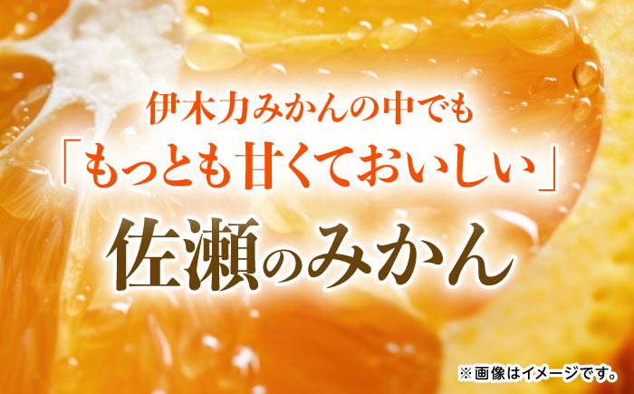 伊木力佐瀬みかん(早生)5kg(混合サイズ：S～L)　/　みかん　佐瀬みかん　伊木力みかん　産地直送　産直　/　諫早市　/　山田果樹園 [AHAJ003]