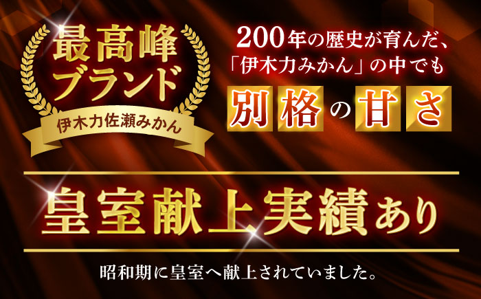 <先行受付> 伊木力佐瀬みかん5kg(混合サイズ：S～L)　/　みかん　佐瀬みかん　伊木力みかん　産地直送　産直　/　諫早市　/　山田果樹園 [AHAJ004]