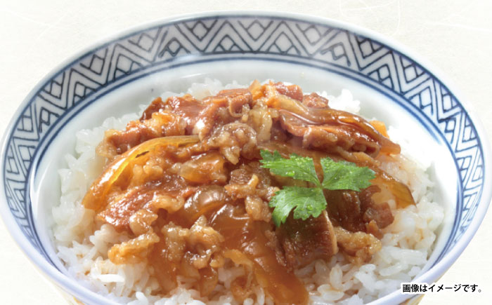 【小分け】日本ハム 牛丼の具10パックセット(1パック2袋入)計20食分）/ 牛肉 牛丼 牛どん レトルト レトルト牛丼 小分け / 諫早市 / 日本ハムマーケティング株式会社 [AHAL010]