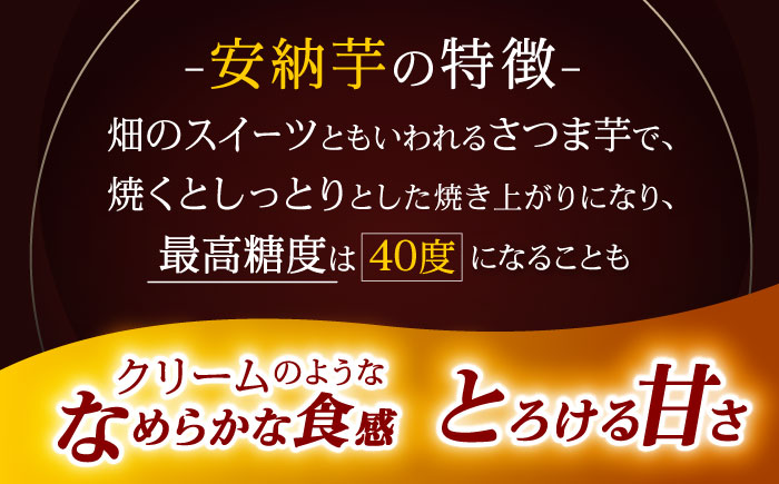 【訳あり】栽培期間中農薬不使用 安納芋 5kg / いも イモ 芋 さつまいも さつま芋 サツマイモ 安納芋 スイーツ 訳あり 訳アリ 野菜 / 諫早市 / ふるさと有明ファーム [AHAQ002]