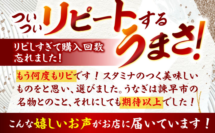【12回定期便】【諫早淡水】うなぎ蒲焼10尾 / うなぎ ウナギ 鰻 蒲焼 たれ 老舗 / 諫早市 / 諫早淡水株式会社 [AHAT023]