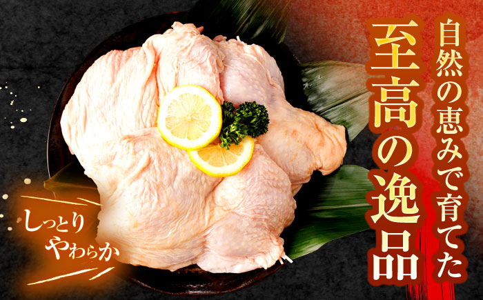 【長崎県産】夢みどり鶏肉もも肉6kg（1kg×6）　/　もも　モモ　鶏もも　鶏肉　もも肉　/　諫早市　/　西日本フード株式会社 [AHAV011]