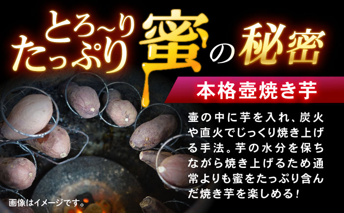 蜜だらけ！蜜しかない！ねっとり冷凍壺焼き芋(合計約3kg) / 焼き芋 焼芋 やきいも さつまいも 芋 イモ お芋 / 諫早市 / 松尾農園 [AHAY003]