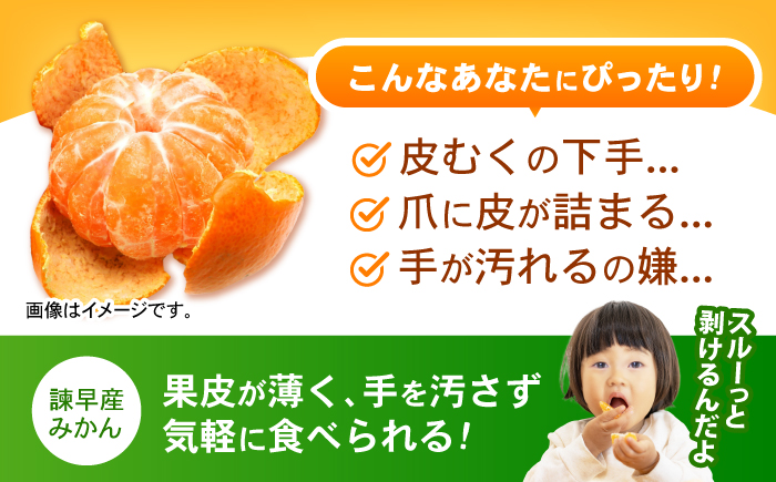 諫早産みかん 10kg / みかん ミカン 蜜柑 フルーツ ふるーつ 果物 くだもの 10kg / 諫早市 / 松尾農園 [AHAY028]