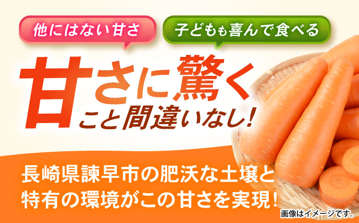 諫早産にんじん 10kg / にんじん ニンジン 人参 キャロット きゃろっと 野菜 やさい 10kg / 諫早市 / 松尾農園 [AHAY030]