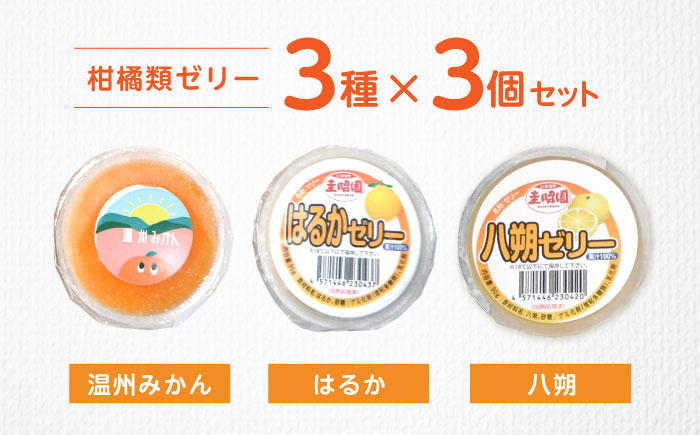 柑橘スムージーゼリー (3個×3種) 9個セット / ゼリー ぜりー 果汁ゼリー 柑橘 八朔 温州みかん はるか / 諫早市 / 圭昭園　 [AHAZ012]
