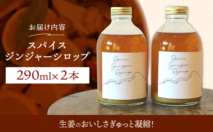 スパイスジンジャーシロップ(290ml×2本) / ジンジャー シロップ 自家製 生姜 自然 暮らし / 諫早市 / のんびり山　 [AHBA003]
