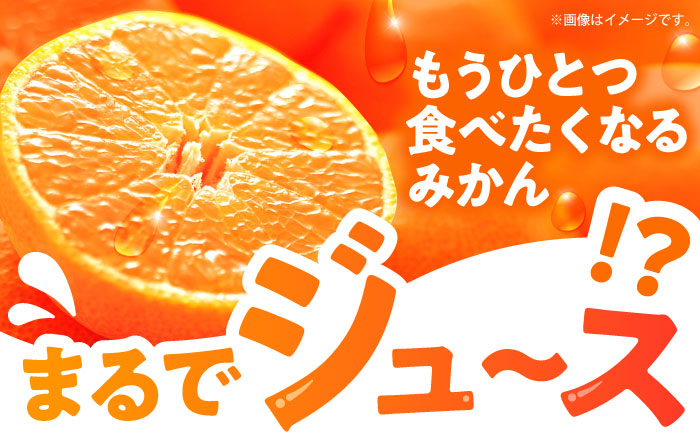 伊木力温州みかん5kg(ご家庭用、箱入り) / 伊木力 温州みかん みかん ミカン 蜜柑 佐瀬 諫早 多良見 長崎 / 末永果樹園 [AHBD003]