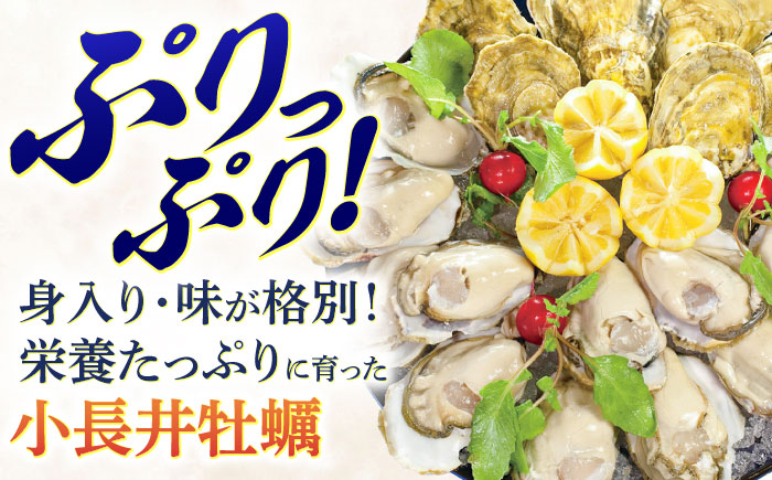 「かき日本一決定戦」グランプリ受賞　諫早市小長井牡蠣　華漣 (殻付き)20個入り カキナイフ・軍手付き / 牡蠣 かき カキ 小長井牡蠣 貝 / 諫早市 / 諫早湾漁業共同組合 [AHBJ009]