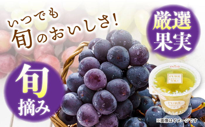 【年内配送】(12/17入金分まで)たらみ PURE ぶどう 6個 / ゼリー フルーツゼリー 果実ゼリー 果物 フルーツ くだもの / 諫早市 / 株式会社たらみ [AHBR005]