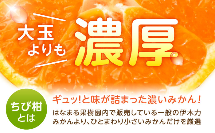 伊木力みかん(ちび柑) 5kg / みかん s みかんsサイズ ミカン 蜜柑 柑橘 フルーツ ふるーつ 果物 くだもの / 諫早市 / 山野果樹園 [AHCF013]