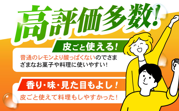 ※【2026年9月上旬より順次発送／先行予約】【グリーンレモンのみお届け】マイヤーレモン 5kg / レモン れもん 檸檬 果汁 グリーンレモン ぐりーんれもん 柑橘 フルーツ ふるーつ 果物 くだもの / 諫早市 / 山野果樹園 [AHCF015]