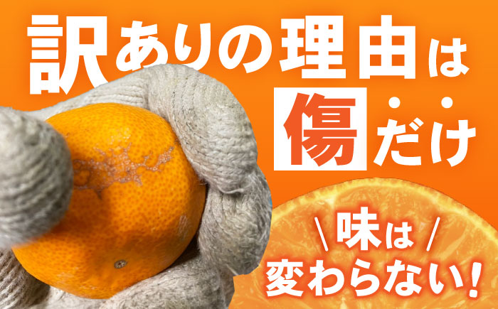 【訳あり】伊木力みかん (家庭用) 10kg / みかん ミカン 蜜柑 オレンジ mikan 柑橘 かんきつ フルーツ ふるーつ 果物 くだもの 訳あり わけあり / 諫早市 / 山野果樹園 [AHCF020]