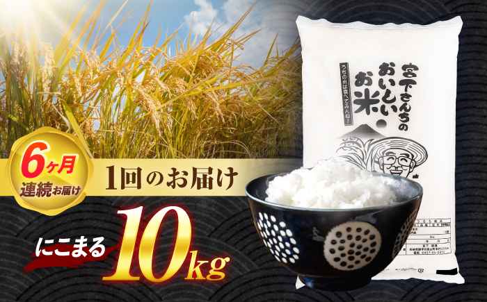(令和7年産)【6回定期便】長崎県認定特別栽培米にこまる10kg / 米 こめ コメ おこめ お米 白米 精米 にこまる kome 長崎県産 / 諫早市 / 宮下農園   [AHCG024]