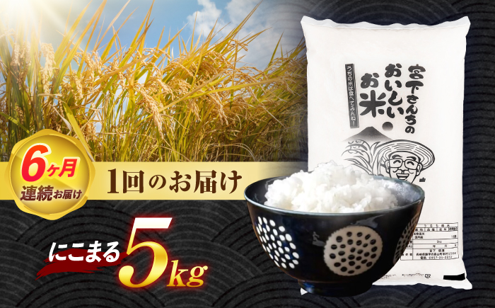 (令和7年産)【6回定期便】長崎県認定特別栽培米にこまる5kg / 米 こめ コメ おこめ お米 白米 精米 にこまる kome 長崎県産 / 諫早市 / 宮下農園   [AHCG026]