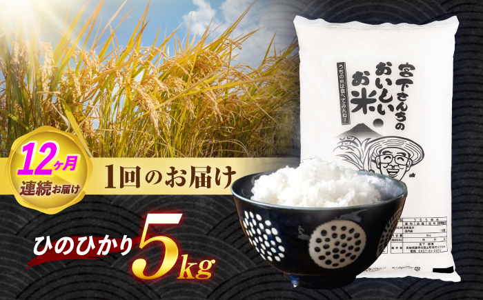 (令和7年産)【12回定期便】長崎県認定特別栽培米ひのひかり5kg / 米 こめ コメ おこめ お米 白米 精米 ひのひかり ヒノヒカリ kome 長崎県産 / 諫早市 / 宮下農園   [AHCG029]