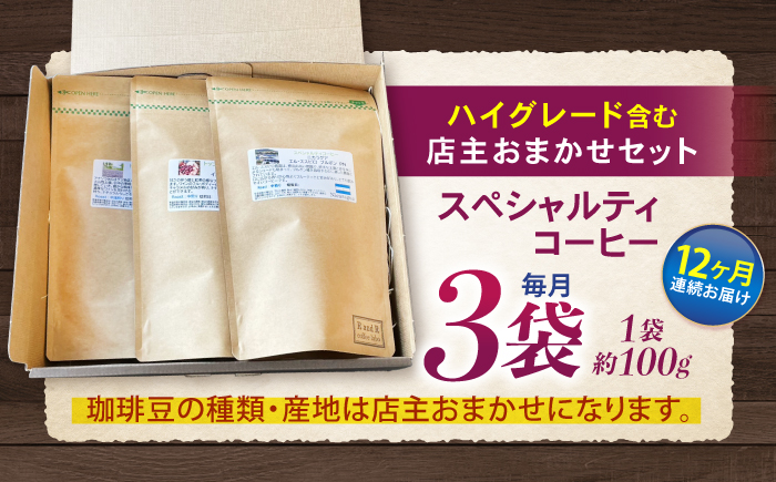 【12回定期便】自家焙煎ハイグレードコーヒーを含むおまかせセット(豆のまま) / ハイグレードコーヒー ブレンド コーヒー 豆 / 諫早市 / R and R coffee labo [AHCJ048]