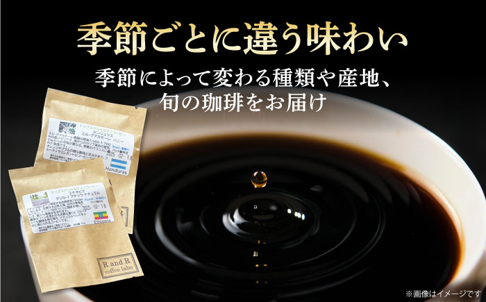 自家焙煎スペシャリティコーヒー ドリップパックセット(12パック) / 諫早市 /R and R coffee labo [AHCJ049]