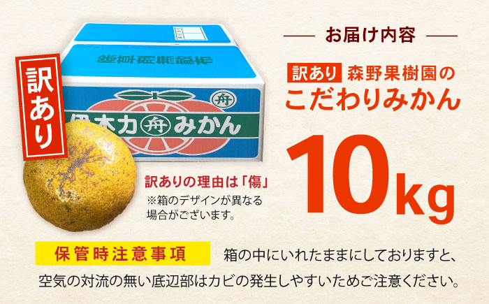 【訳あり】伊木力産　森山果樹園のこだわりみかん 10kg / みかん ミカン 柑橘 伊木力みかん 温州みかん / 諫早市 / 森山果樹園 [AHCO009]