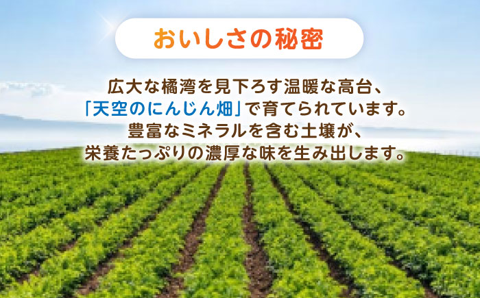 【年内配送】(12/23入金分まで)滝さんの人参 10kg / にんじん ニンジン 人参 やさい 野菜 / 諫早市 / 滝商店株式会社 [AHCU001]