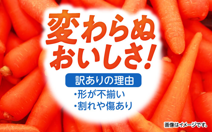 ※【2026年1月より順次発送／先行予約】【訳あり】【甘みと栄養たっぷり！】真っ赤な人参 「紅天神」 10kg / にんじん ニンジン 人参 やさい 野菜 訳あり 訳アリ わけあり ワケアリ / 諫早市 / 滝商店株式会社 [AHCU006]